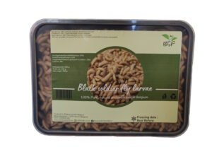 Zwarte soldaatvlieglarven diepvries 500g groot